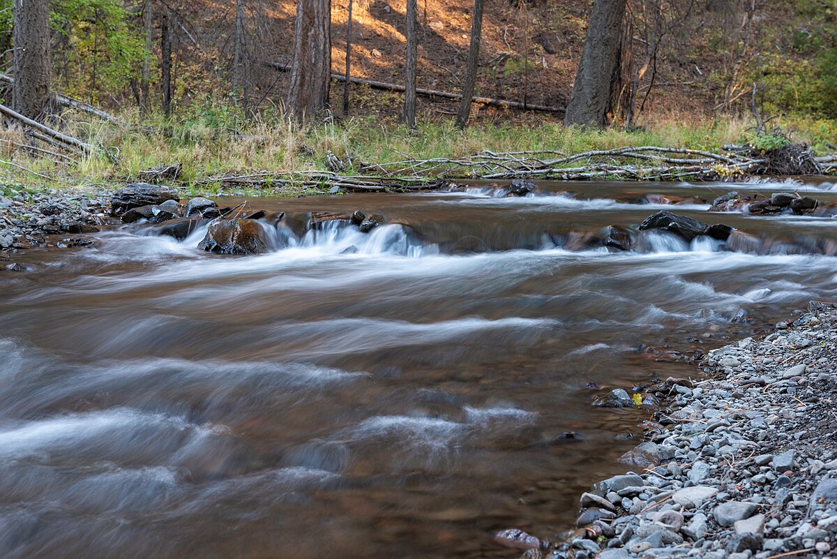 South Fork Campground