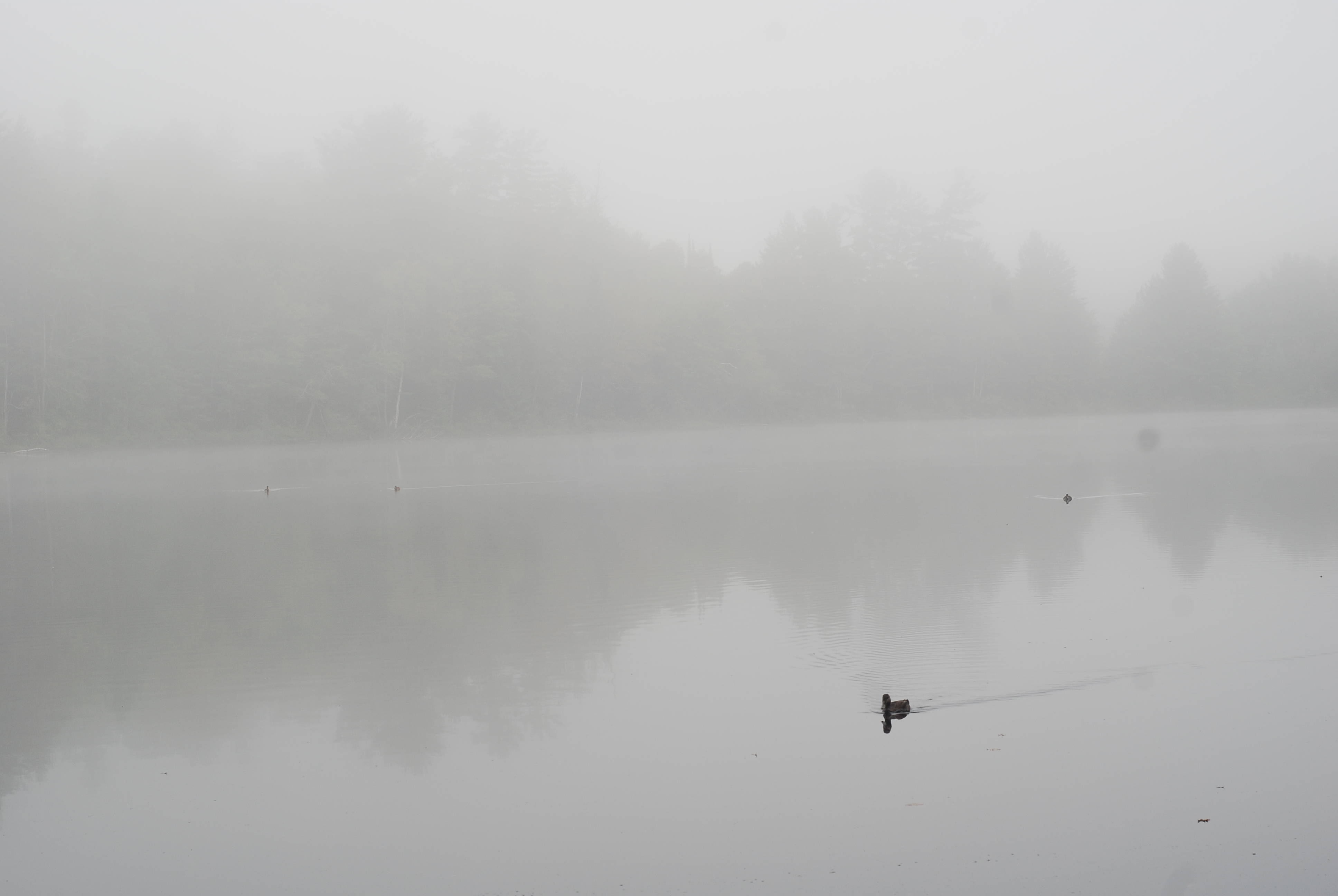 Rollins Pond Campground