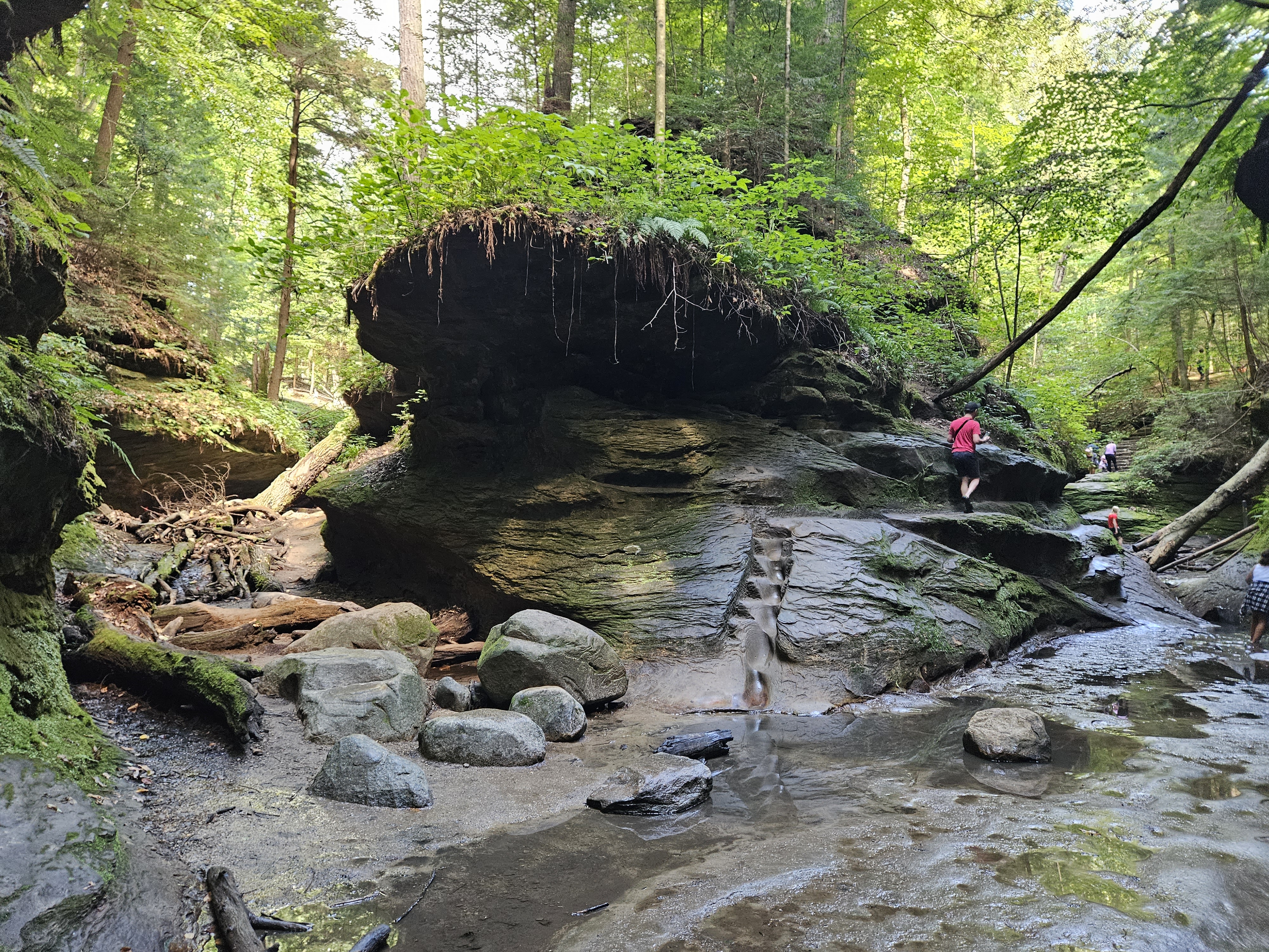 Turkey Run State Park
