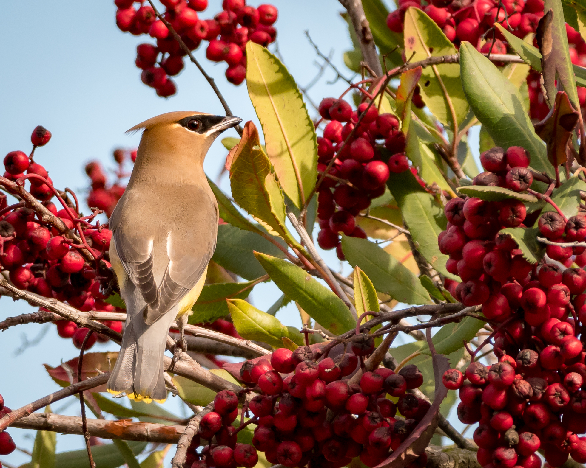 Point Pinole Regional Shoreline