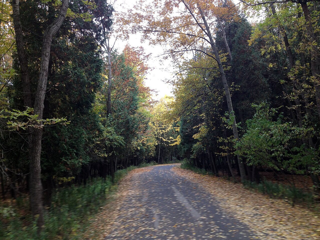 Harrington Beach State Park