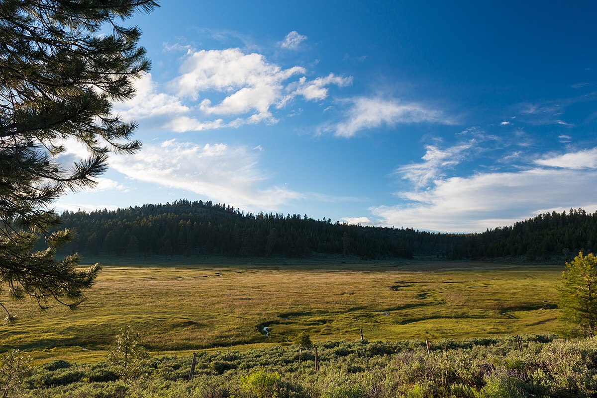 Mud Creek Campground