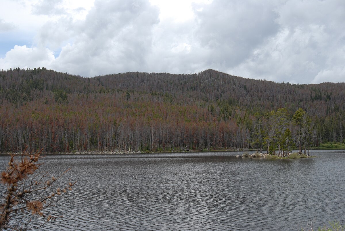 Park Lake Campground