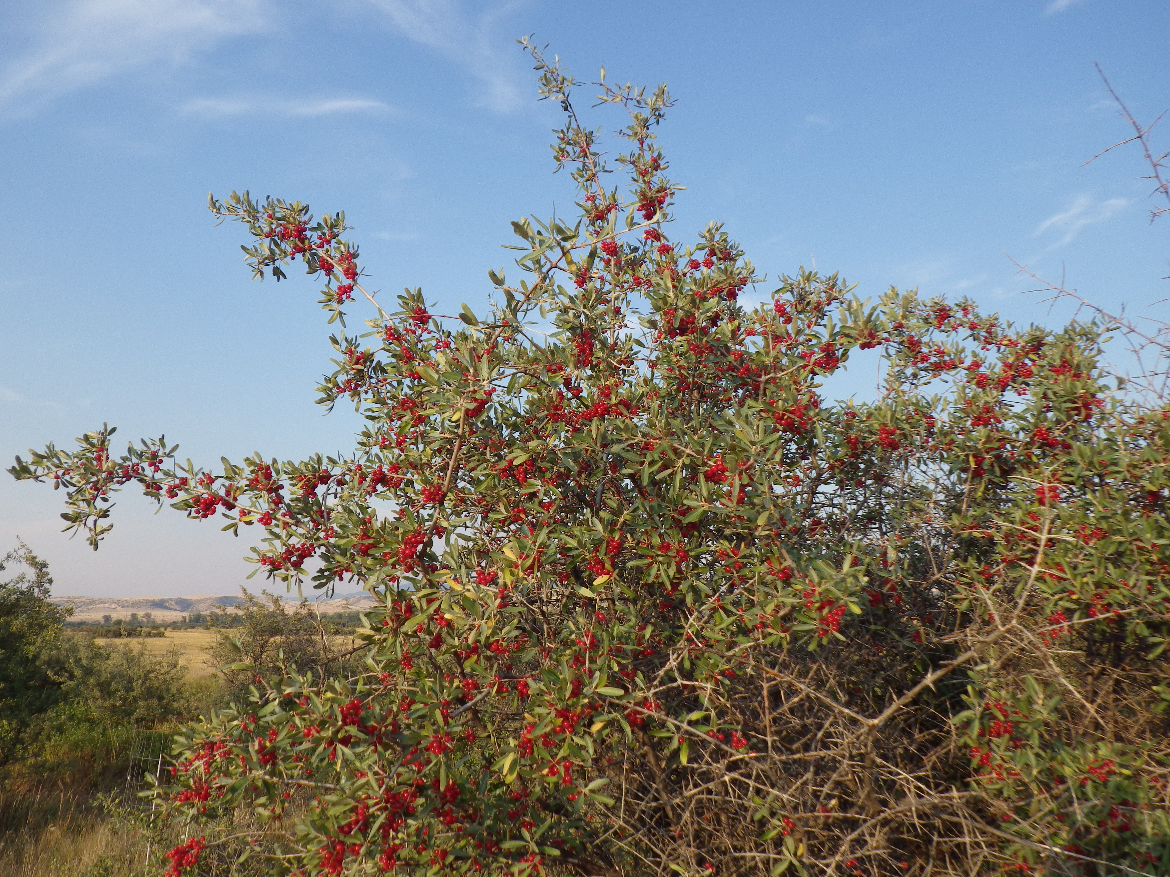Missouri Headwaters State Park