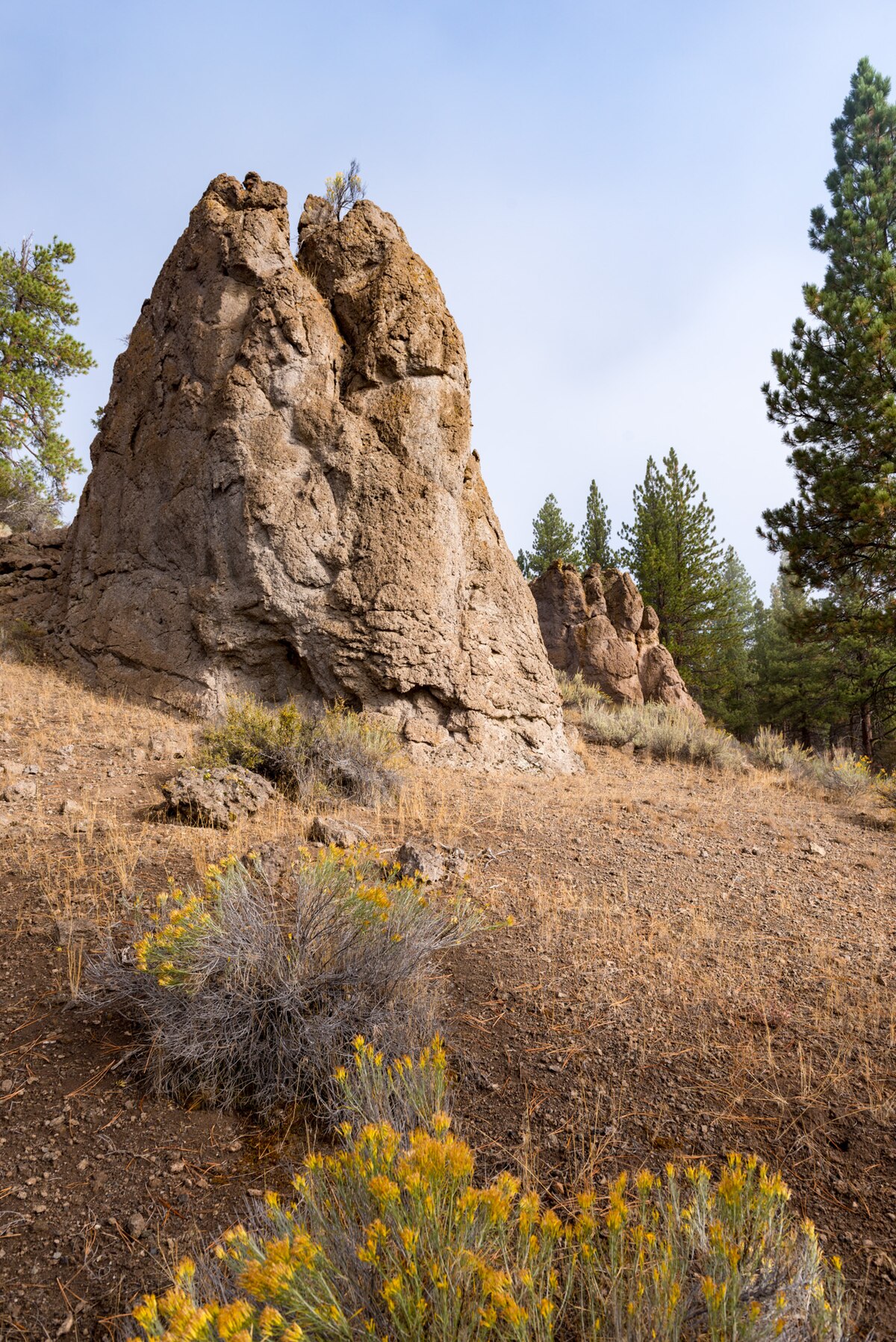 Dairy Point Campground
