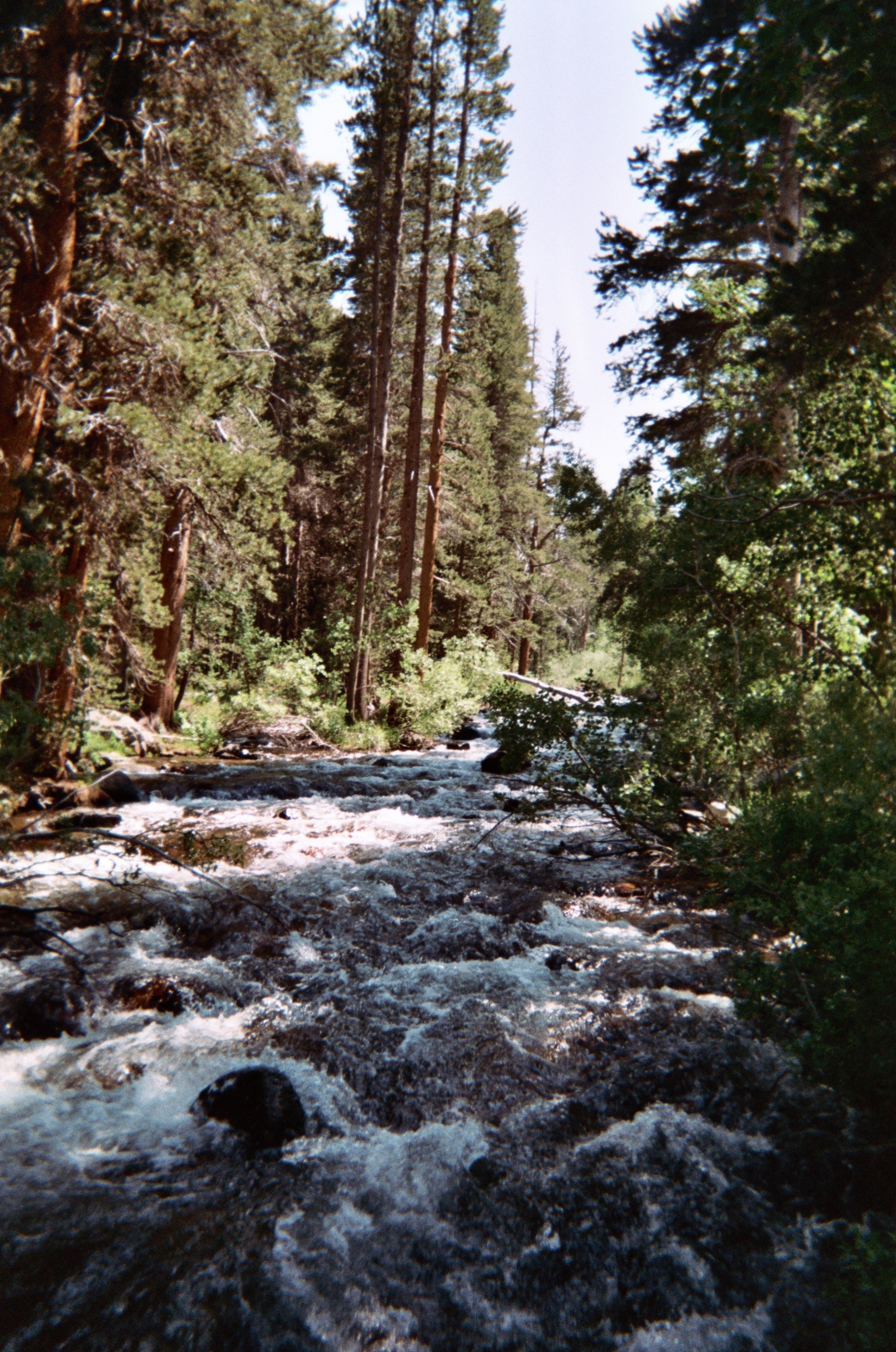 East Fork Campground