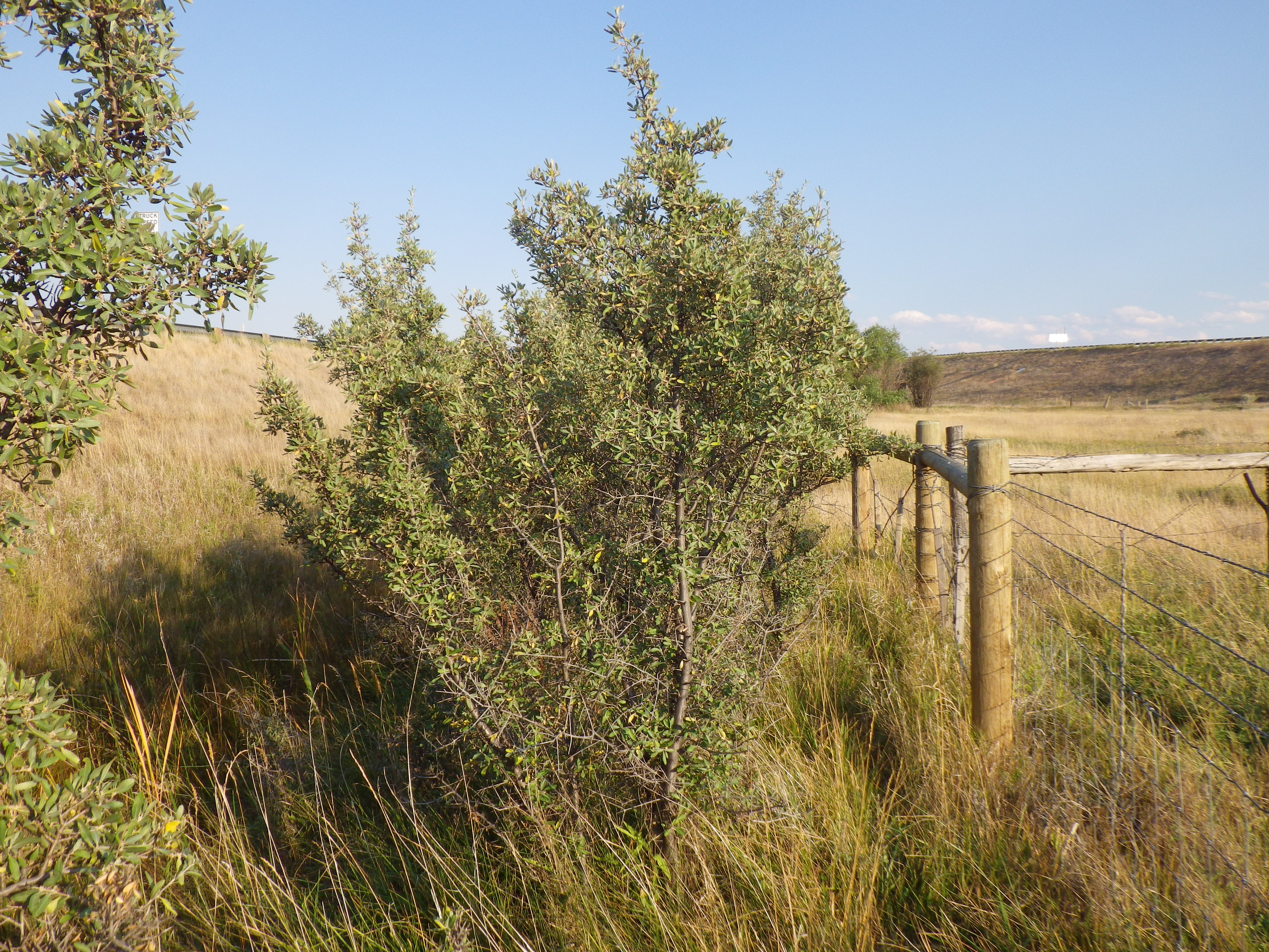 Missouri Headwaters State Park