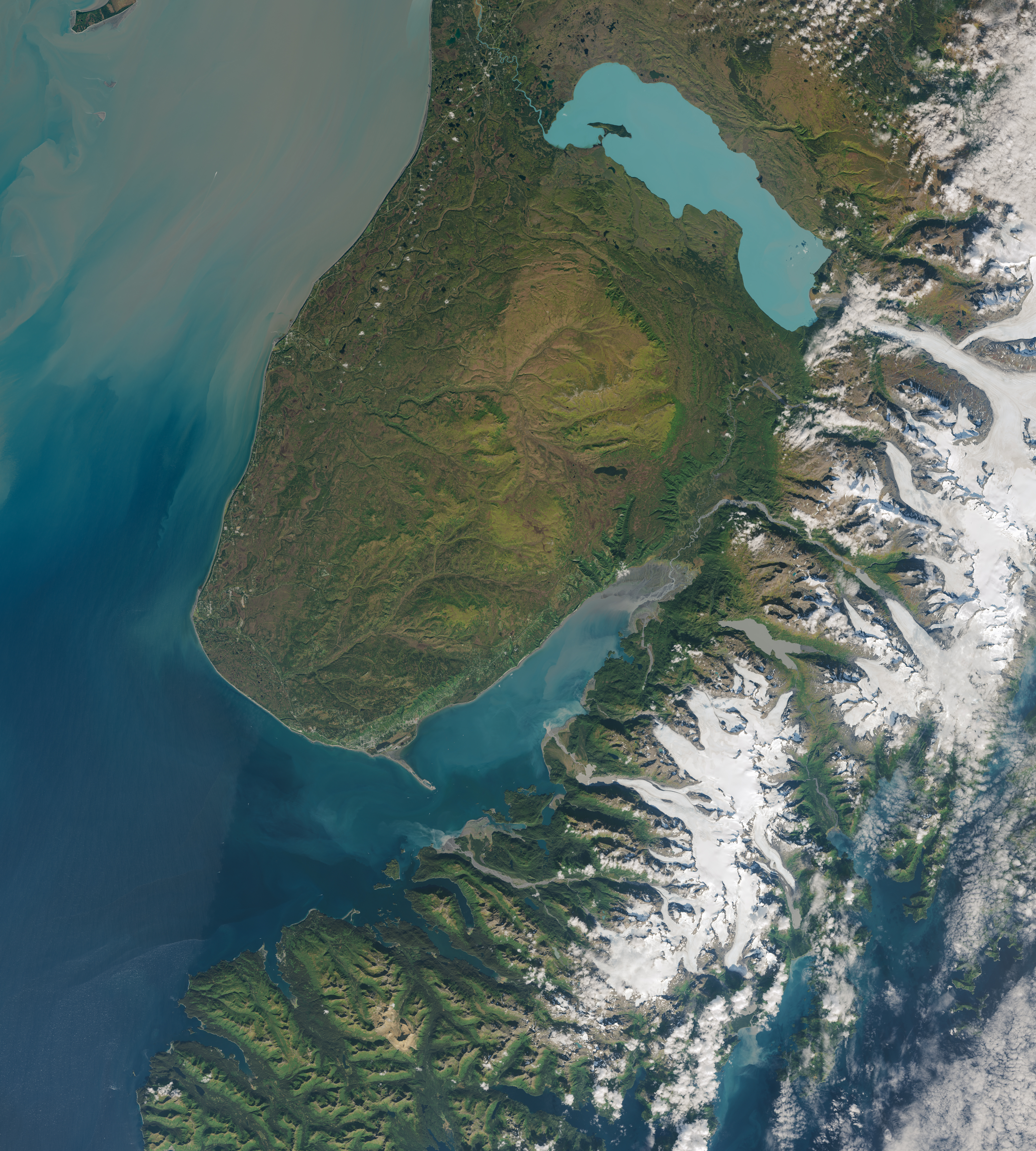 Wikimedia Commons
