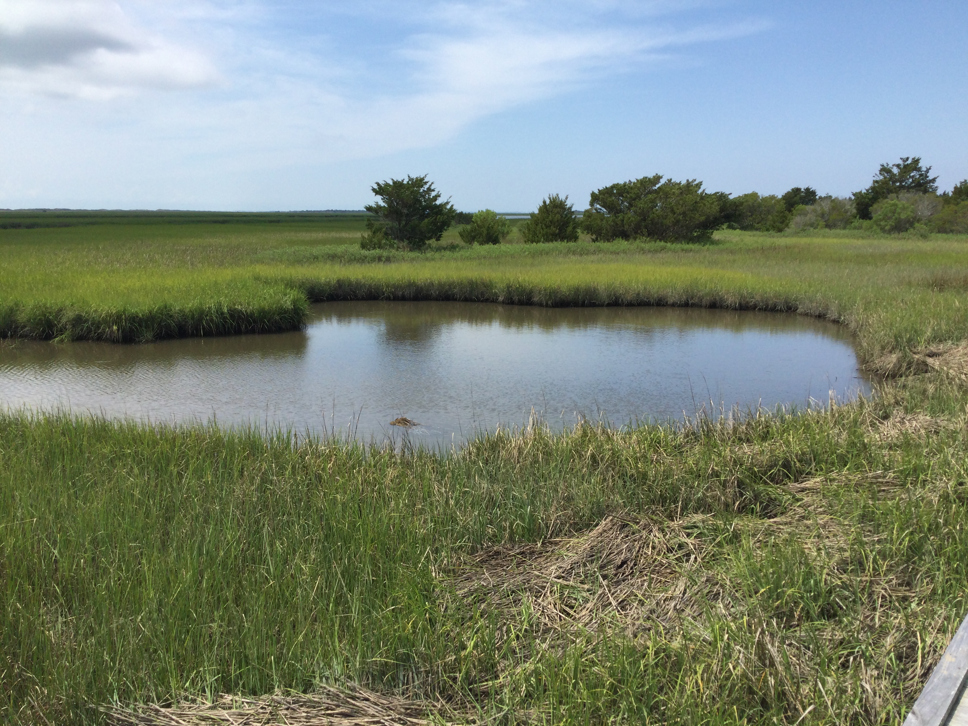 Fort Fisher State Recreation Area
