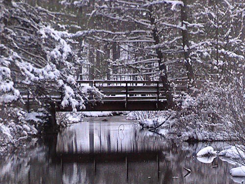 Cowans Gap State Park