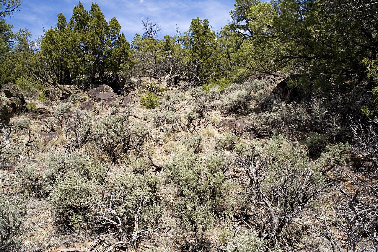 Big Arsenic Springs