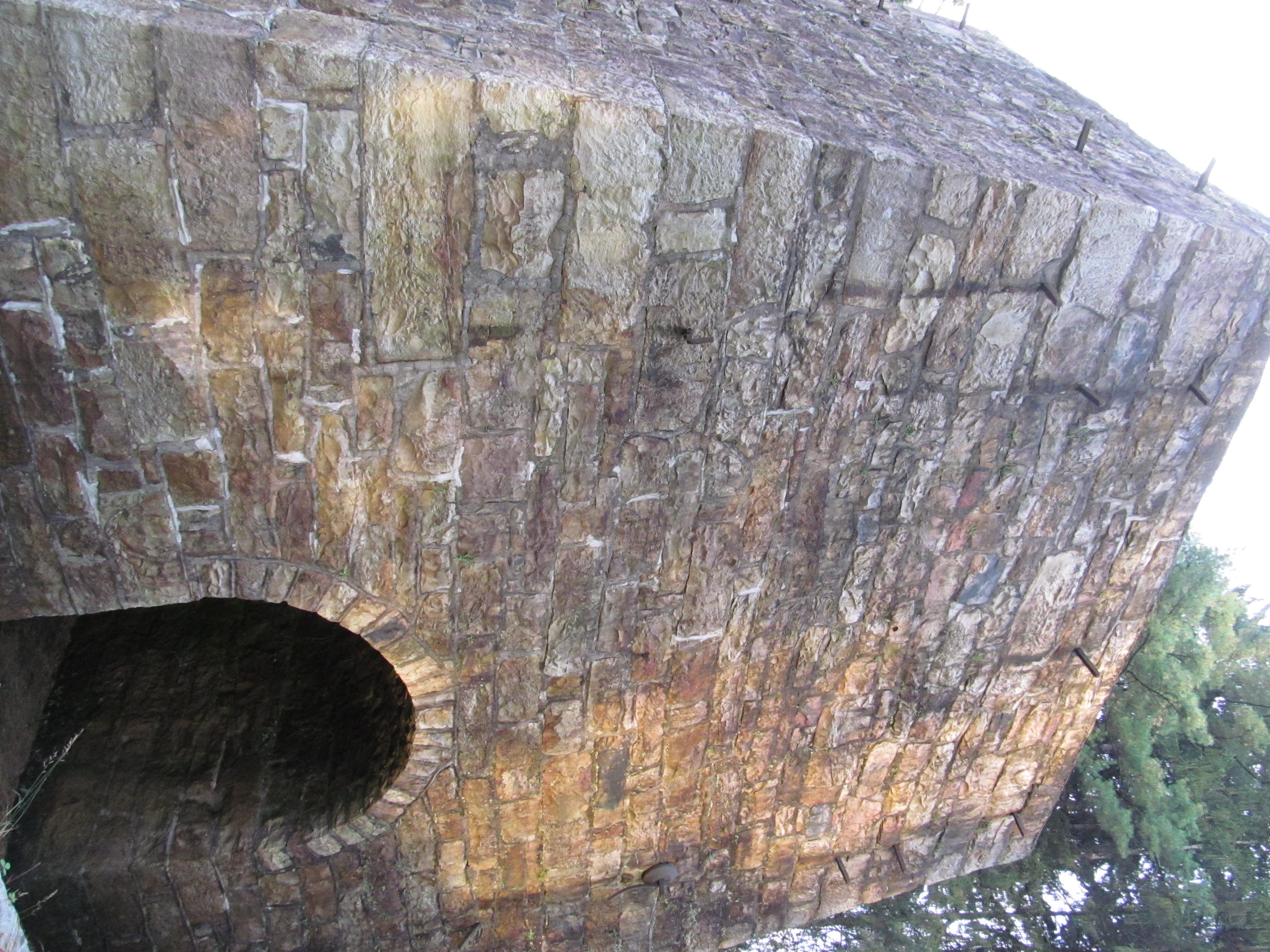 Wikimedia Commons