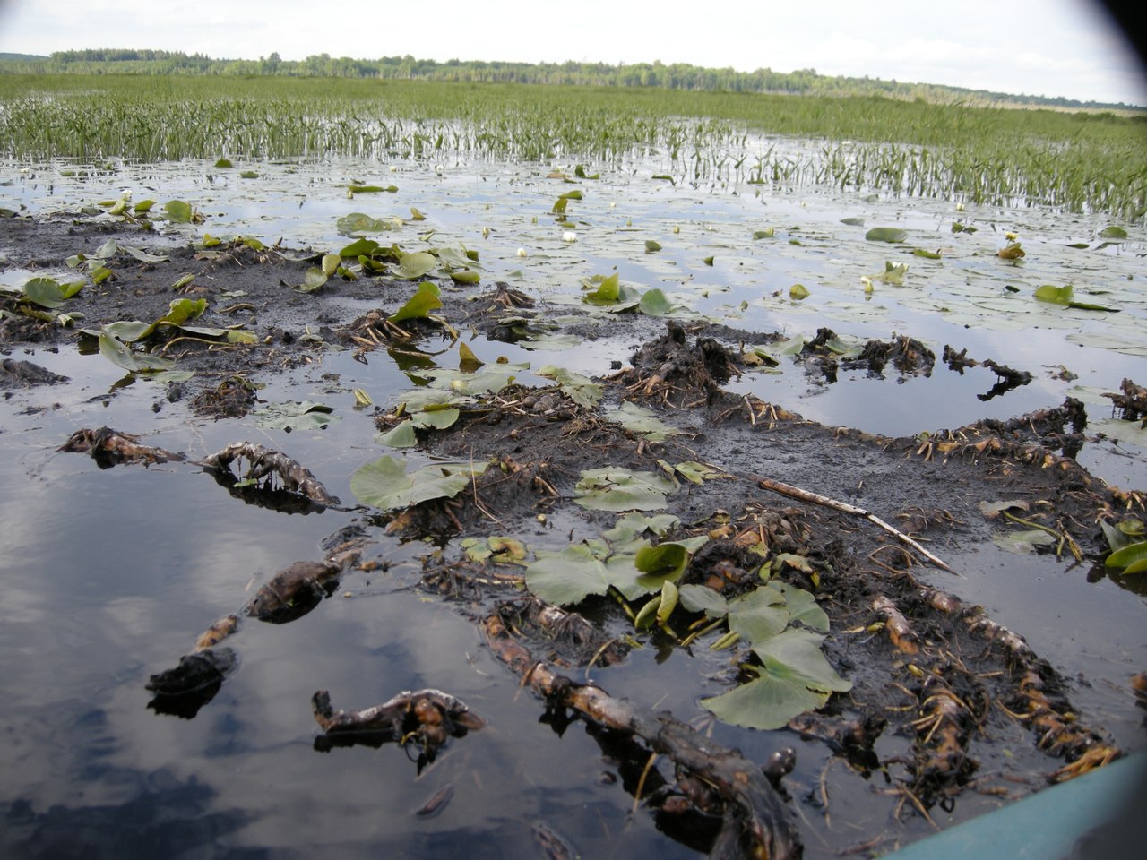 Mud Lake State Forest Campground