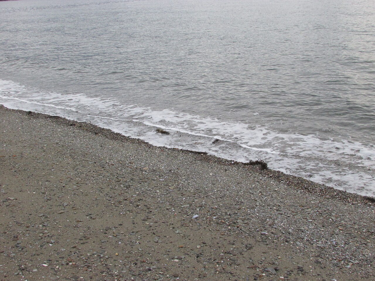 Wikimedia Commons