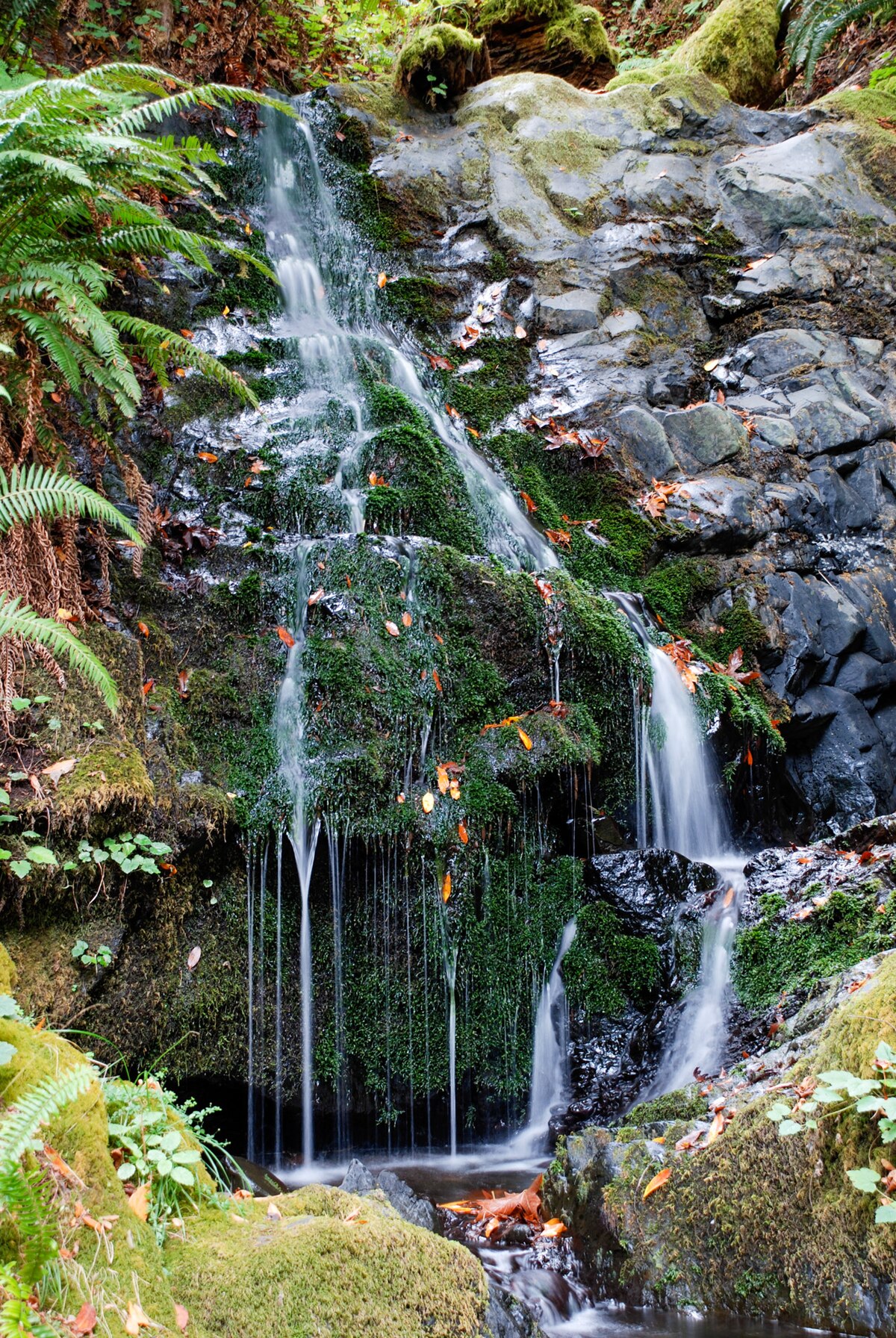 Lobster Creek Campground