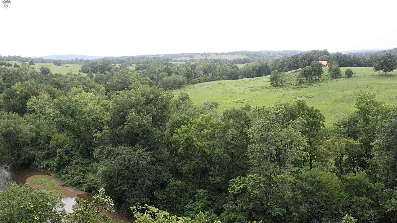 Wikimedia Commons