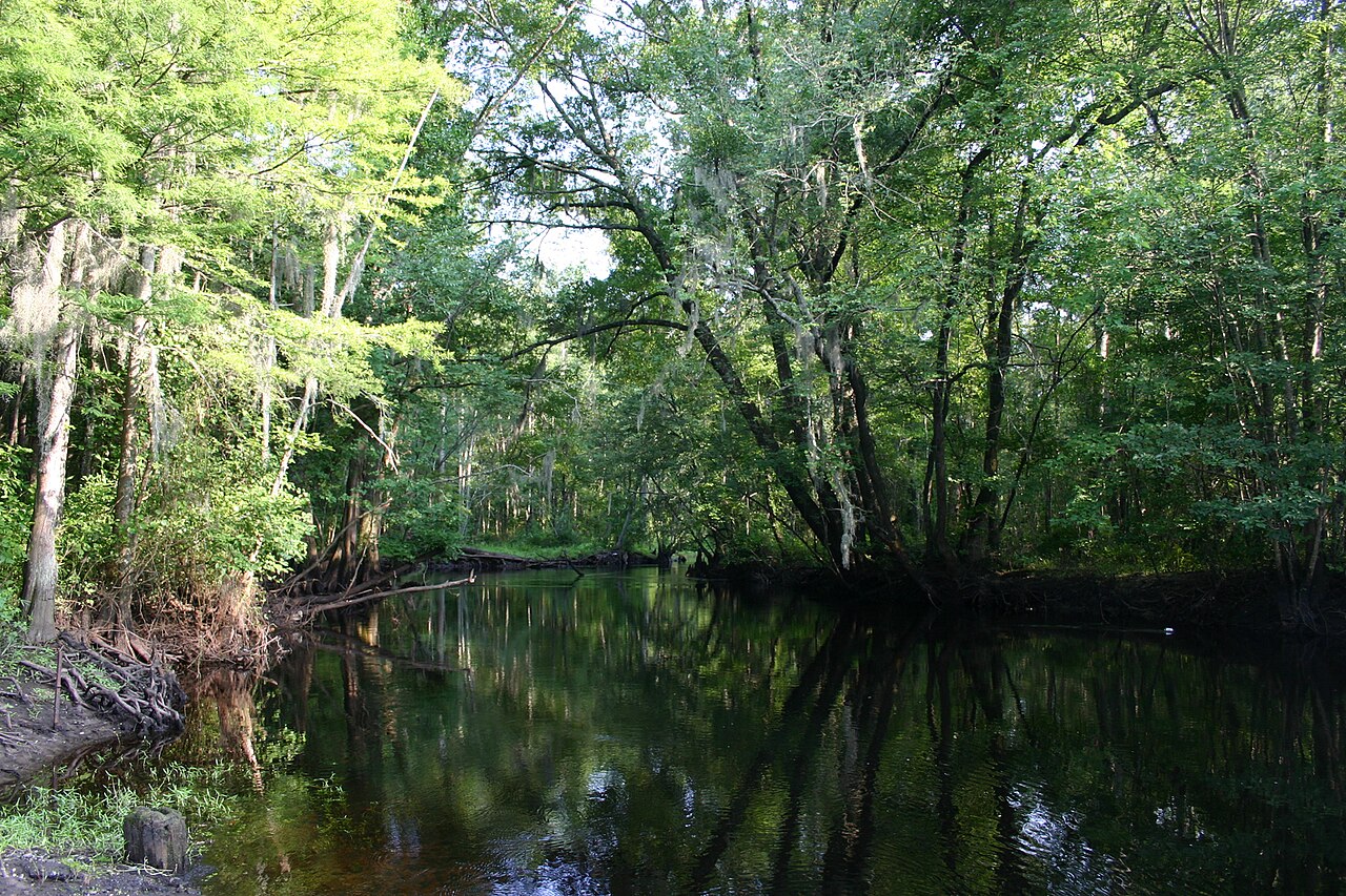 Little Pee Dee State Park