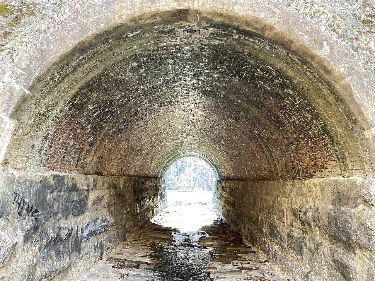 Wikimedia Commons