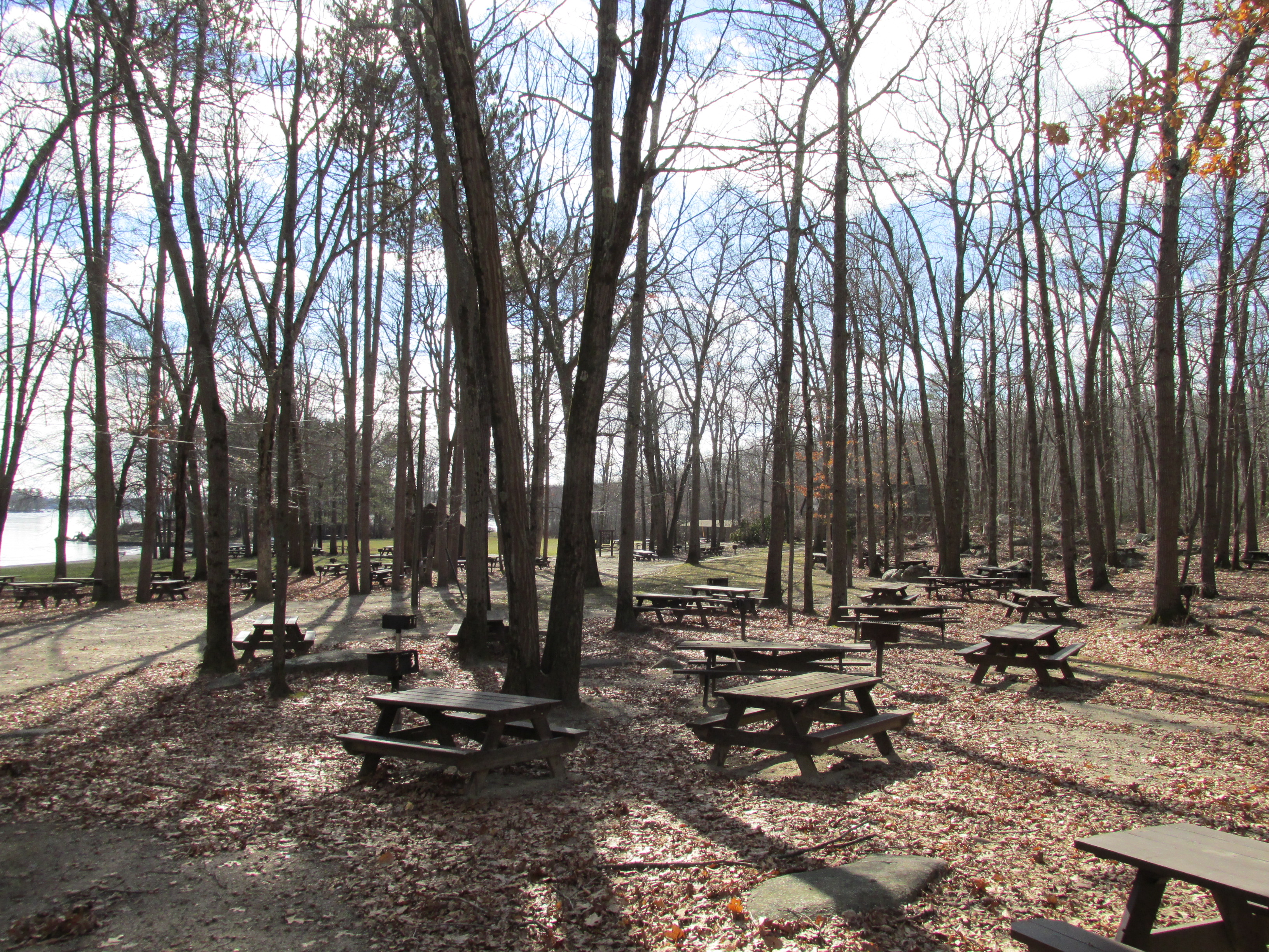 Douglas State Forest