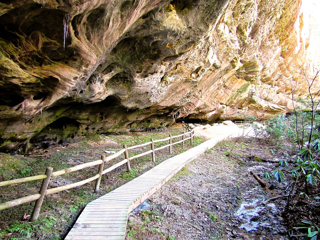 Pickett Ccc Memorial State Park