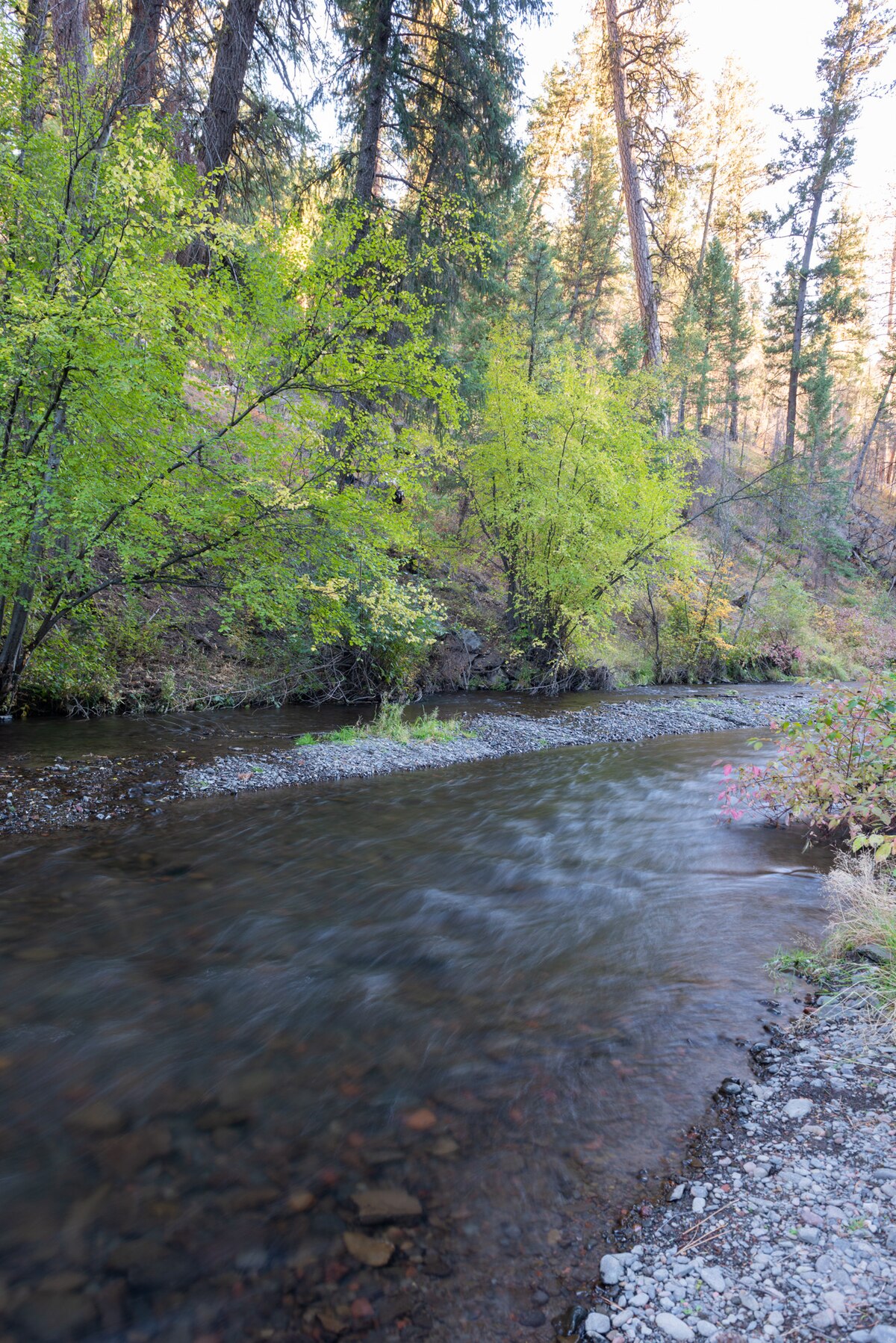 South Fork Campground