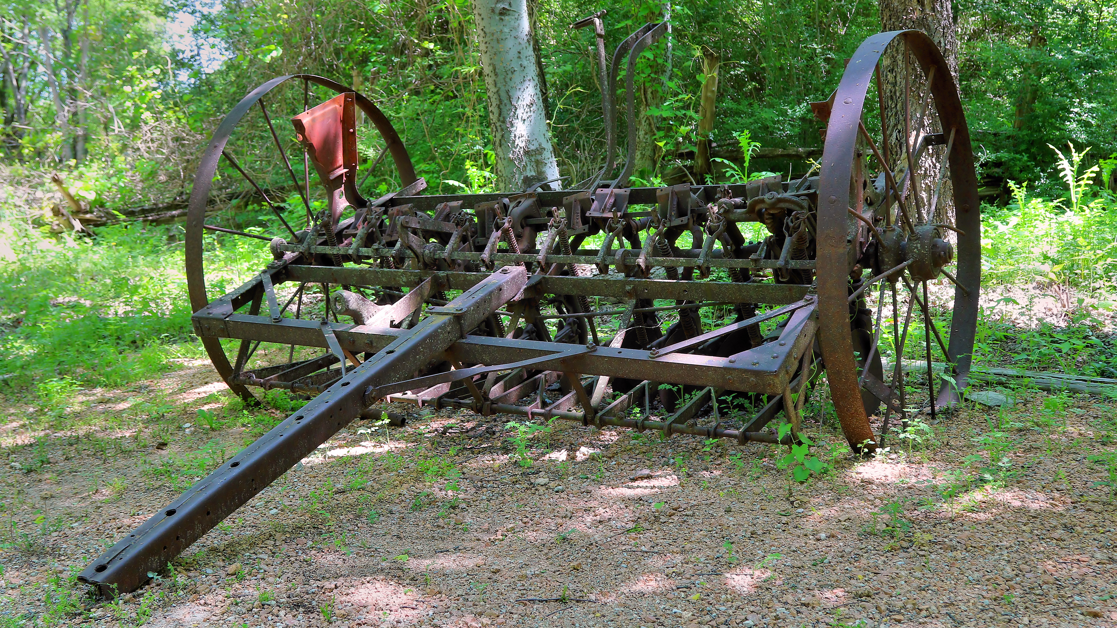 Cedar Hill State Park