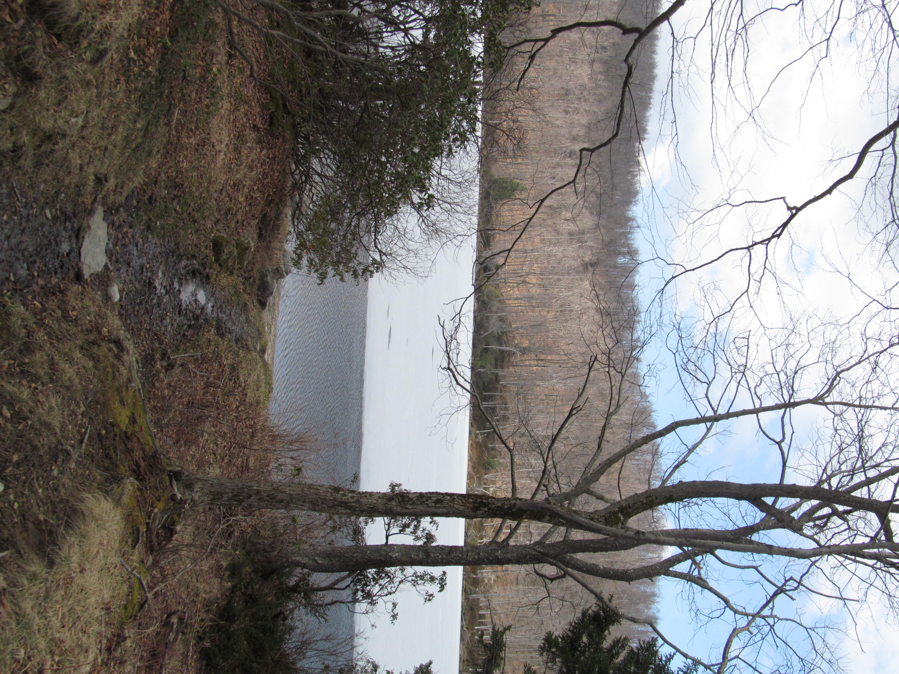 Savoy Mountain State Forest