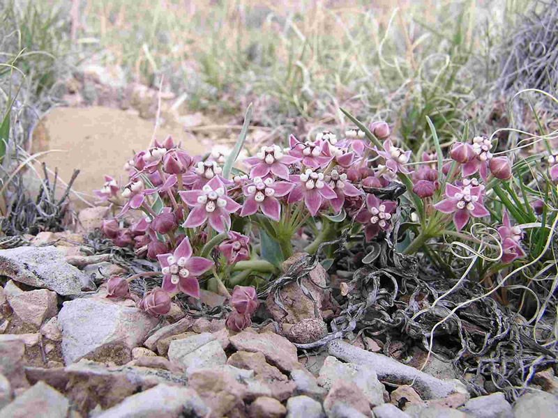 Lake Pueblo State Park
