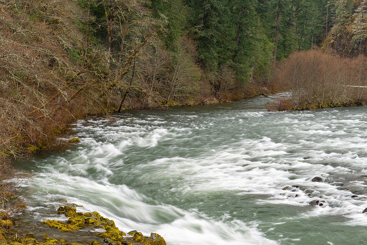 Carter Bridge Campground