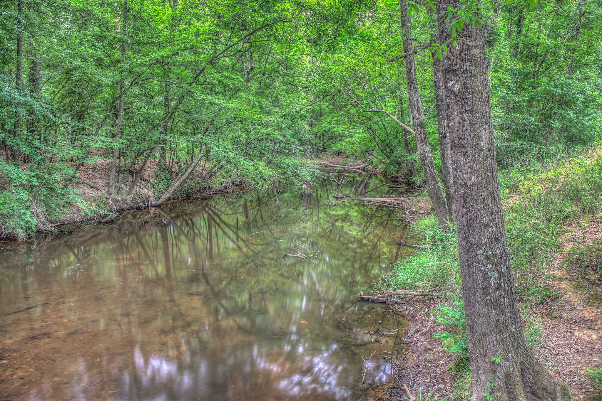 Hamburg State Park