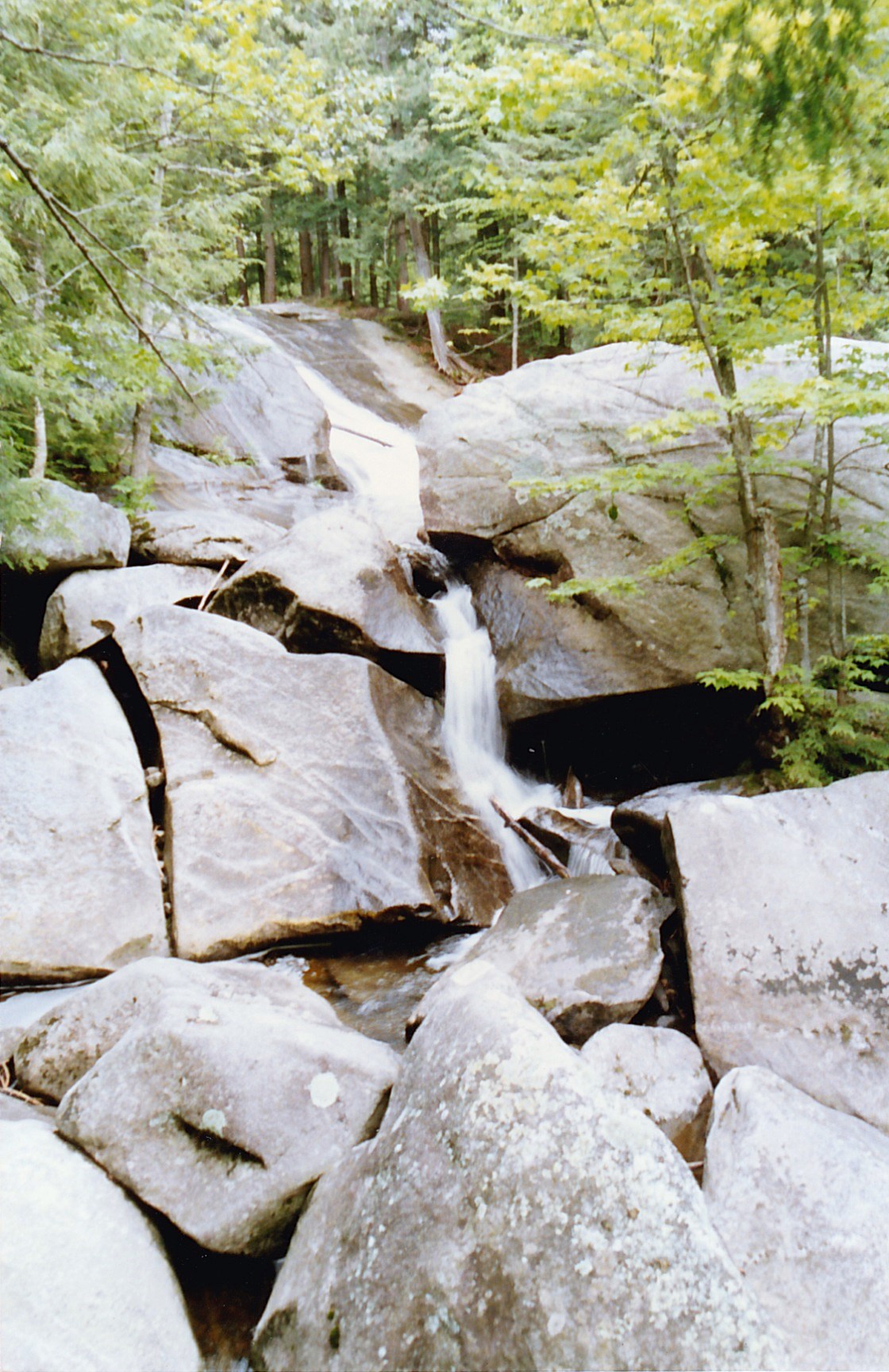 Wikimedia Commons