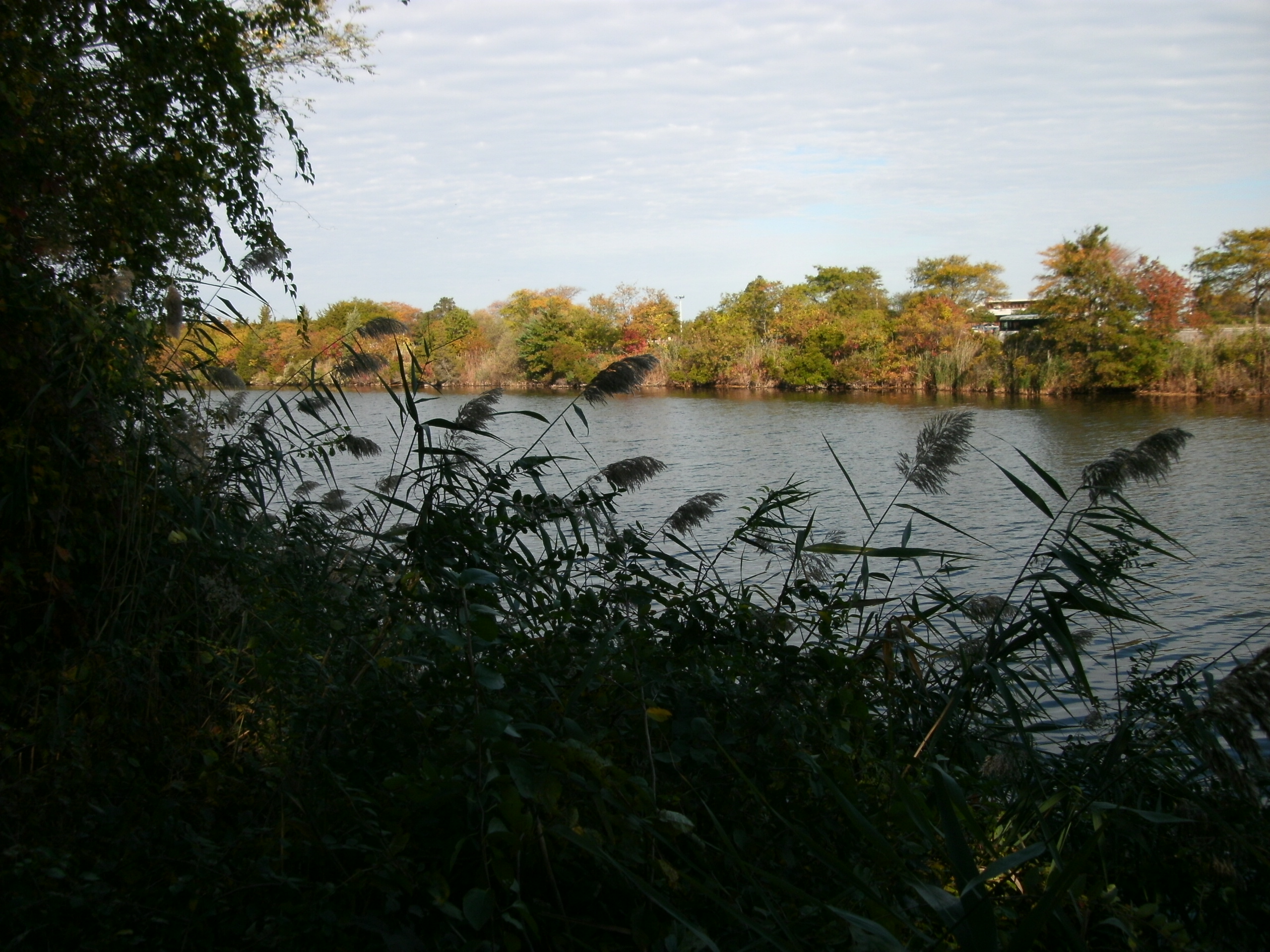 Sunken Meadow State Park