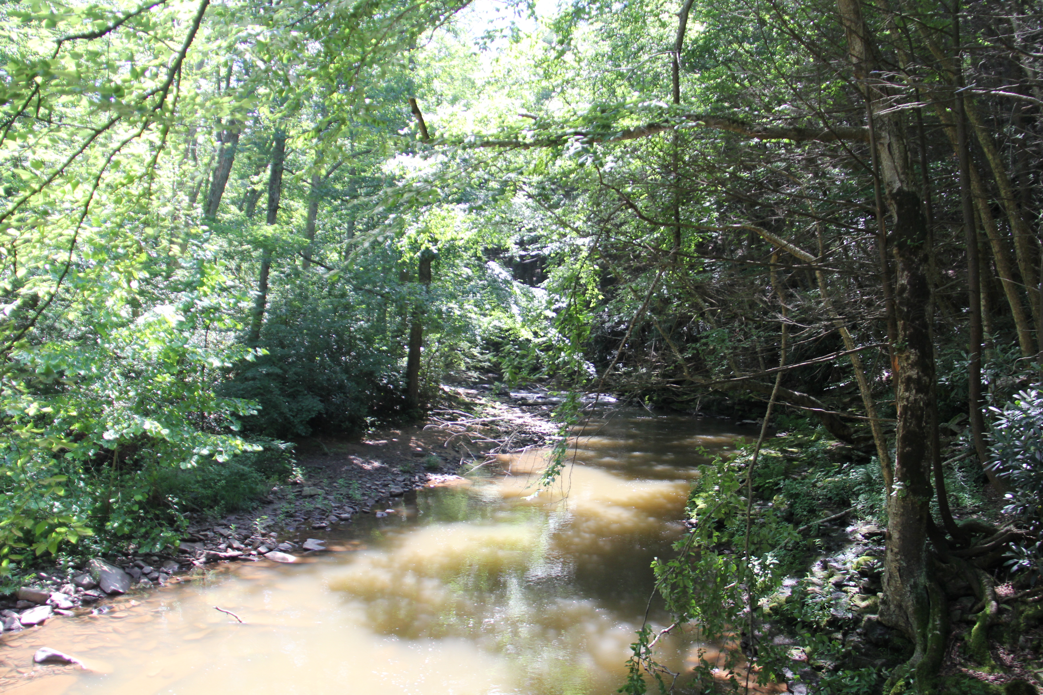 Trough Creek State Park