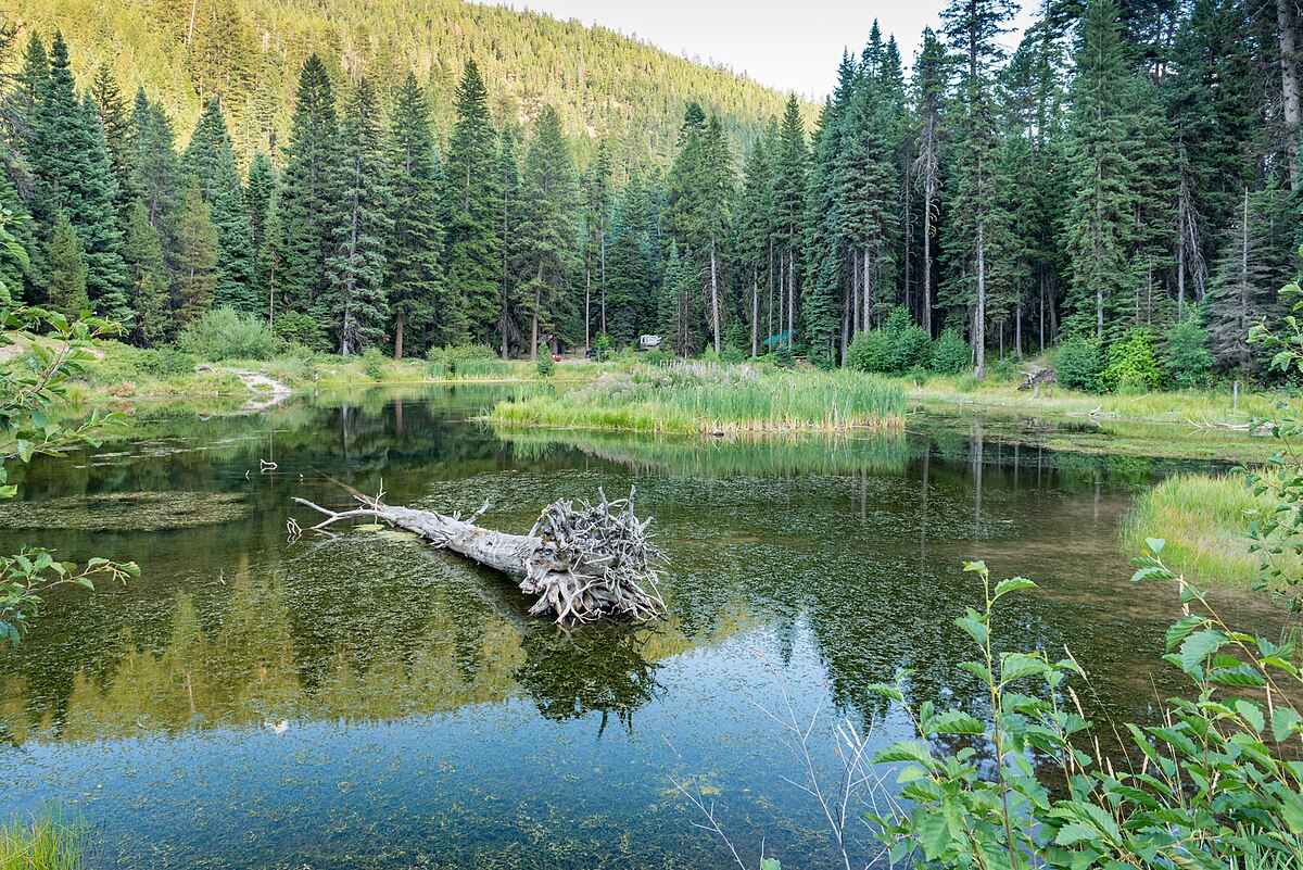 Trout Farm Campground