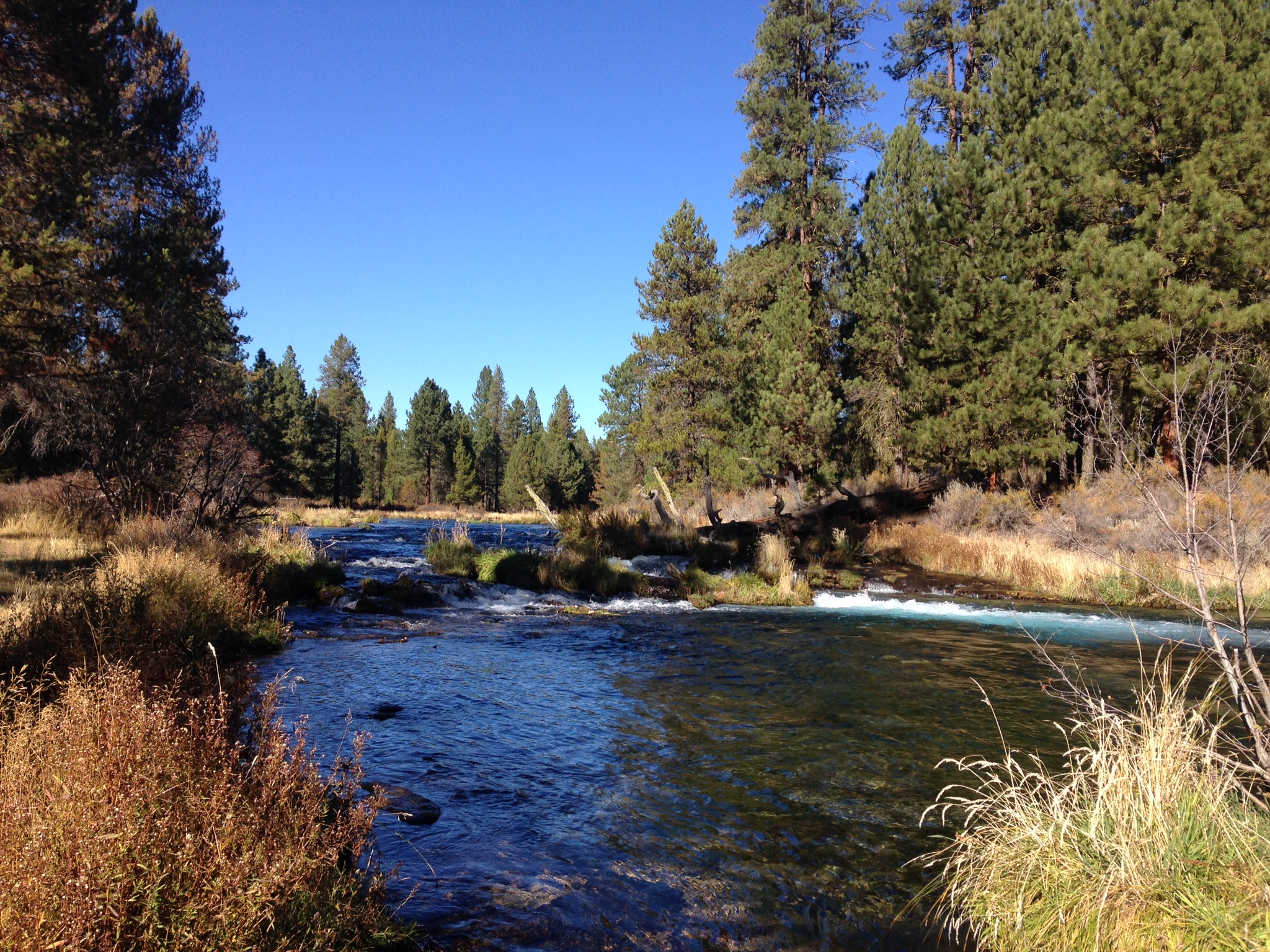 Collier Memorial State Park