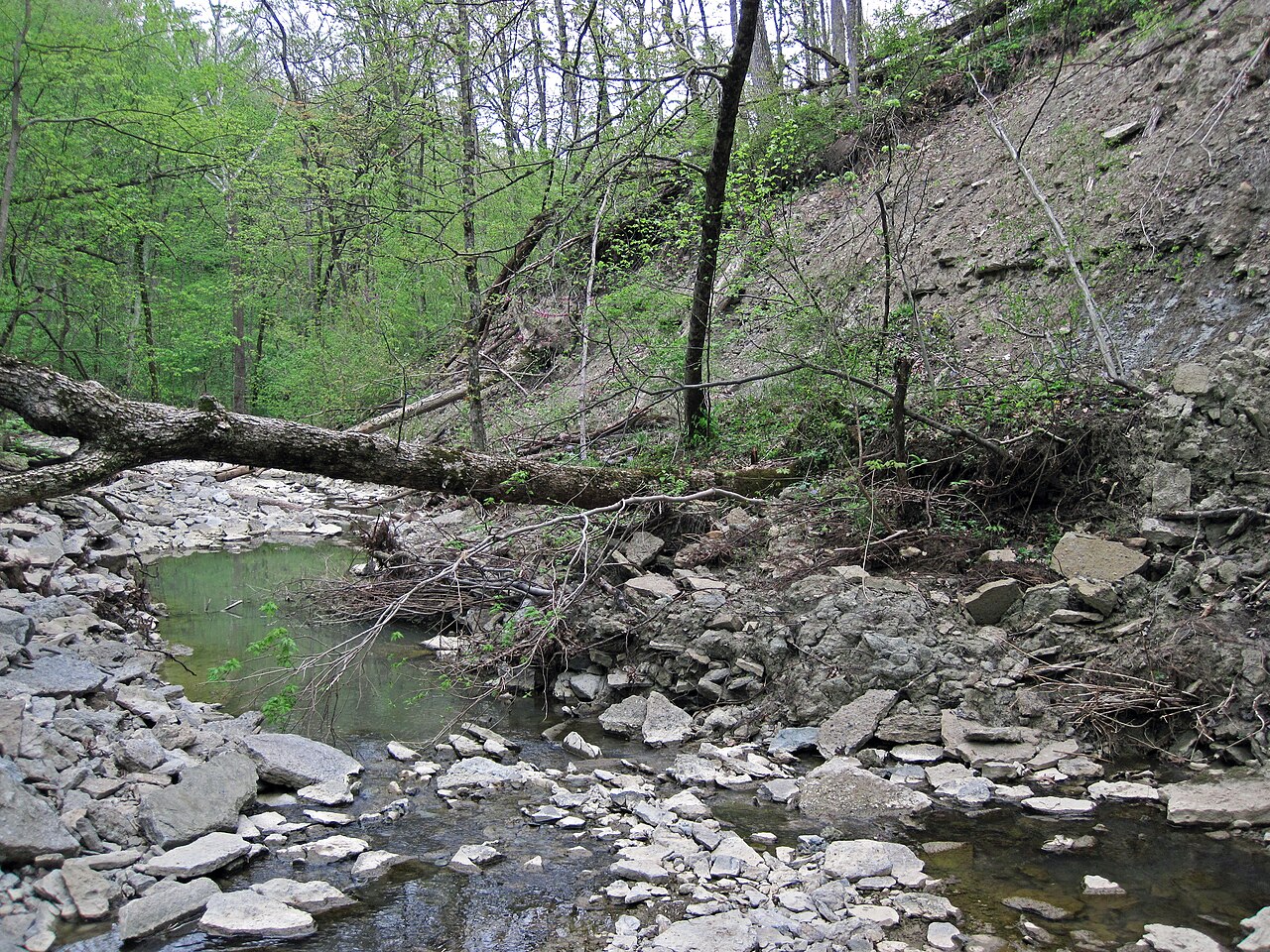 Caesar Creek Camp Loops A, B, C