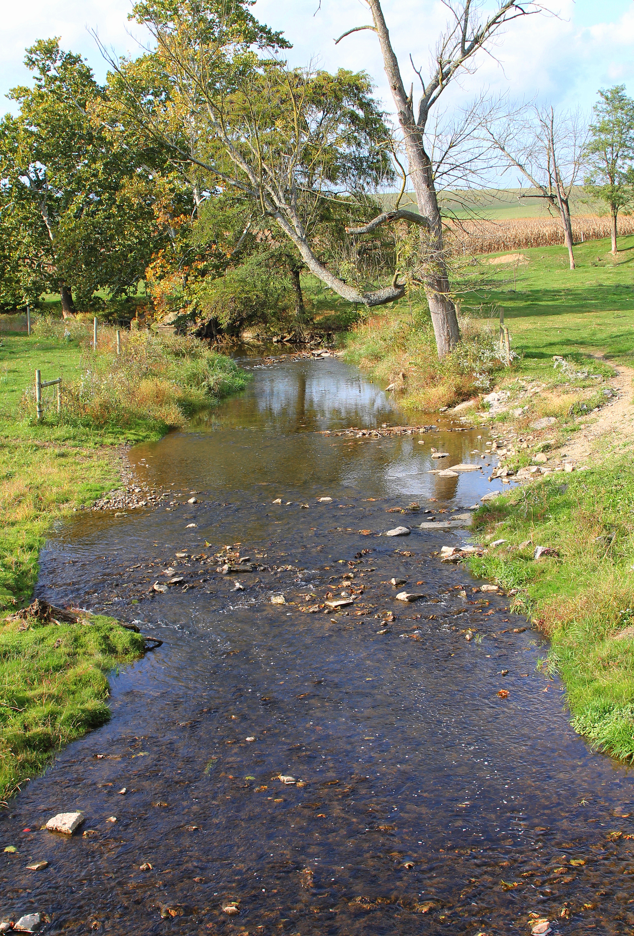 Little Buffalo State Park