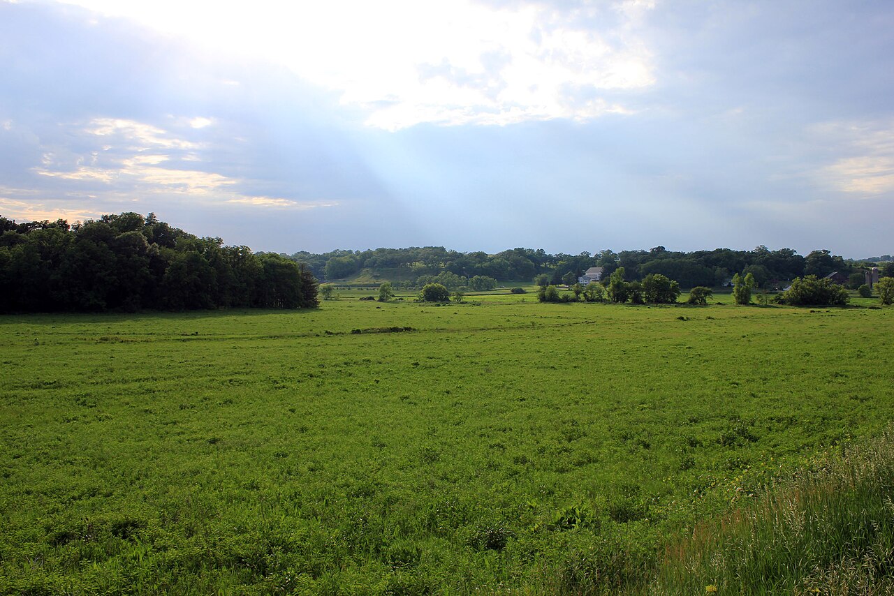 Wikimedia Commons