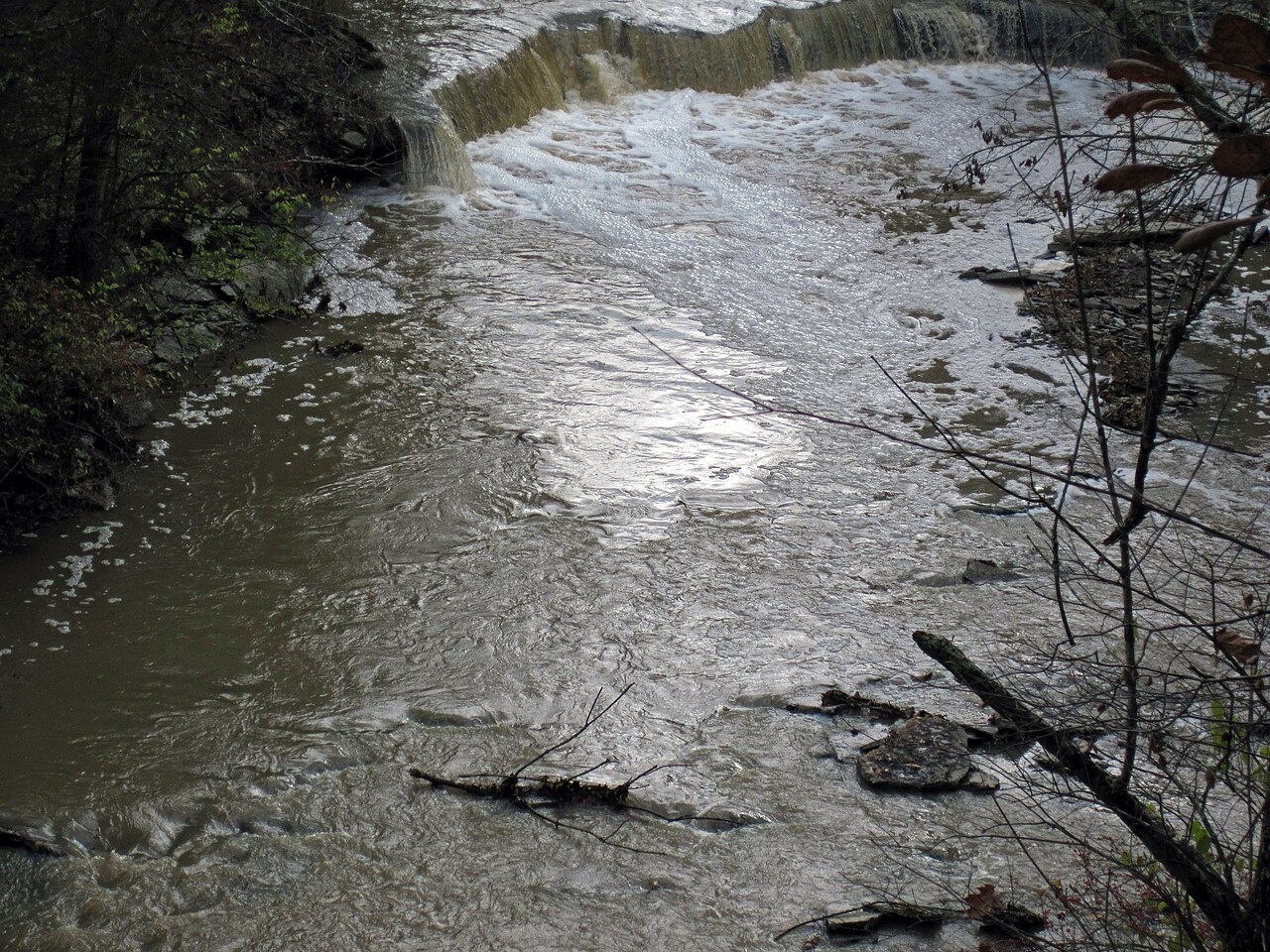 Caesar Creek Camp Loops A, B, C