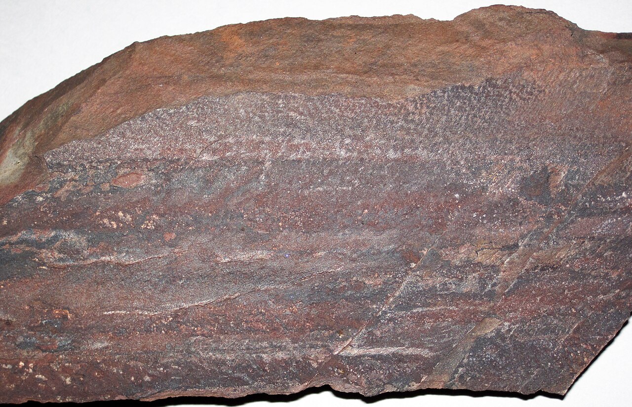 Mud Lake State Forest Campground