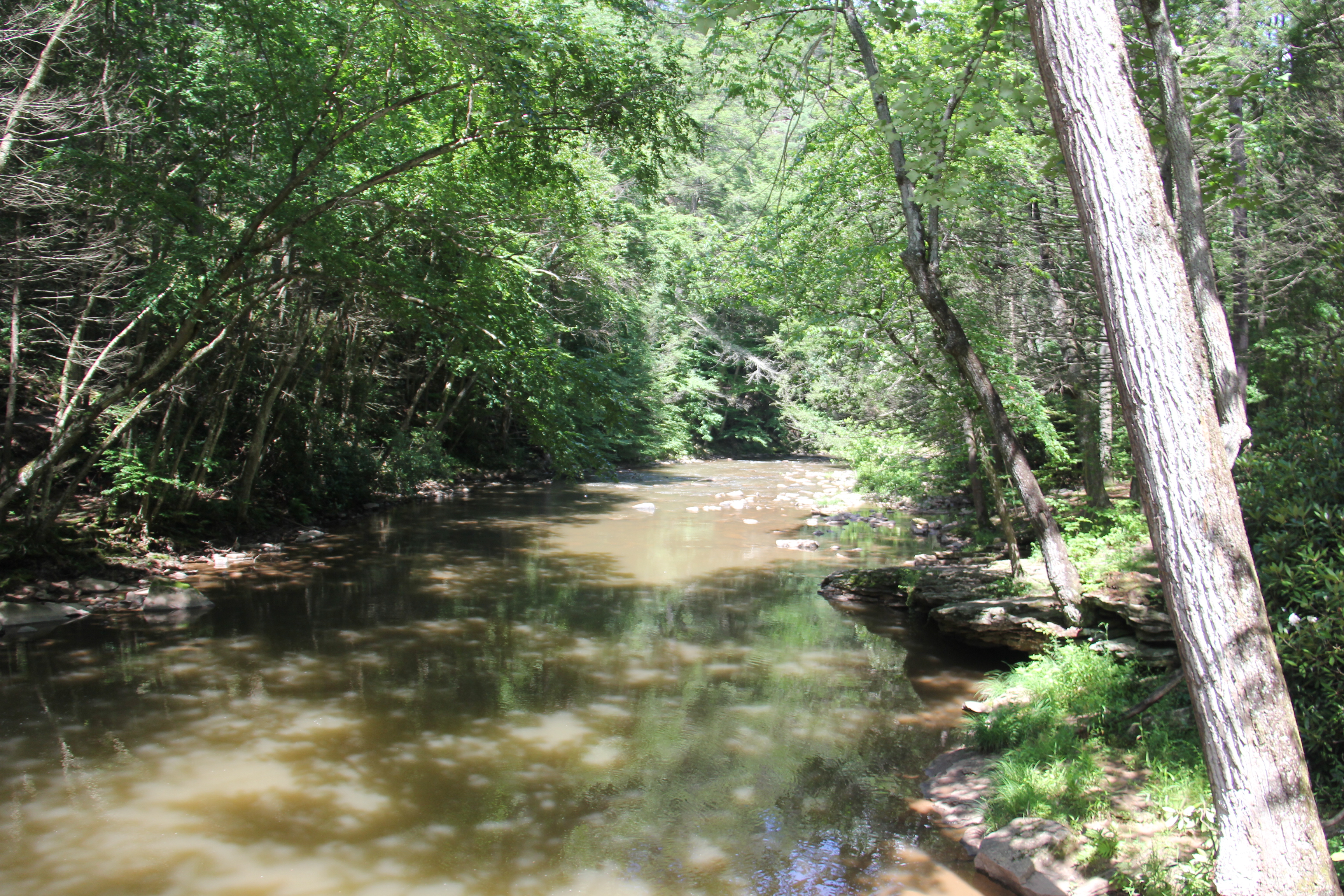 Trough Creek State Park