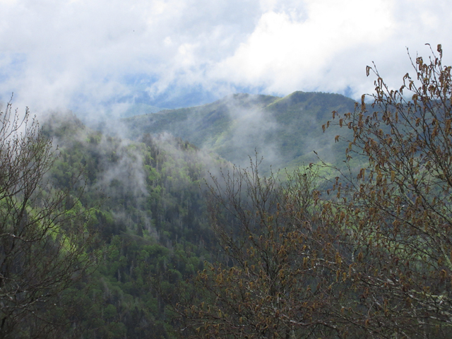 Anthony Creek Horse Camp