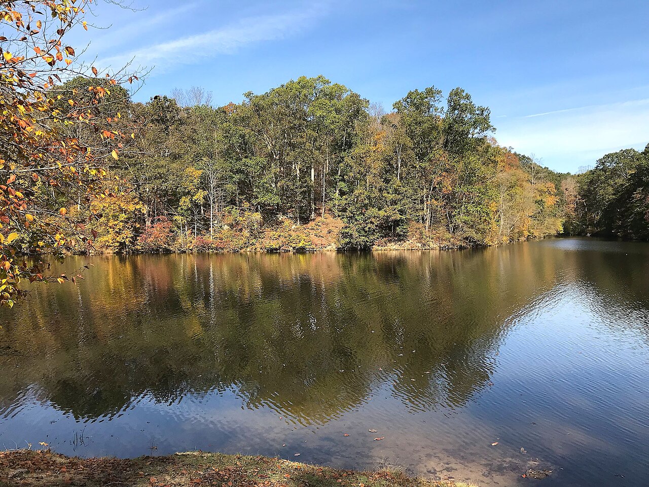 Forked Run Group Campground