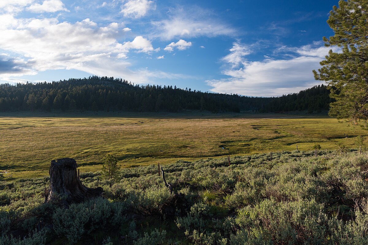 Mud Creek Campground