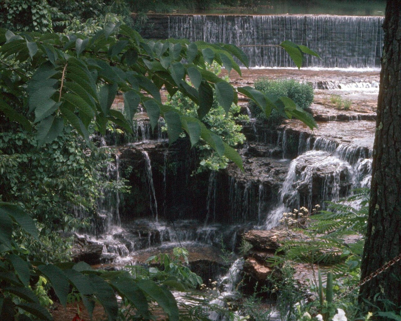 Wikimedia Commons