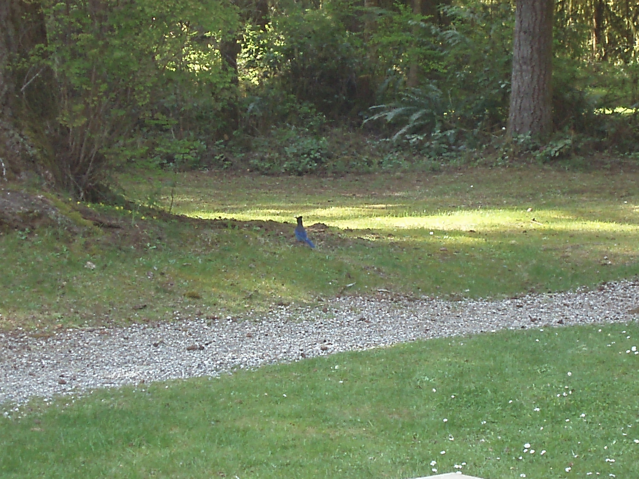 Wikimedia Commons