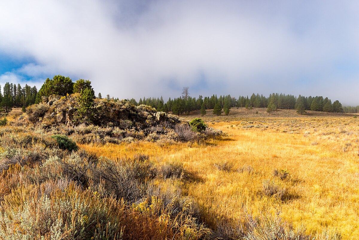 Dairy Point Campground