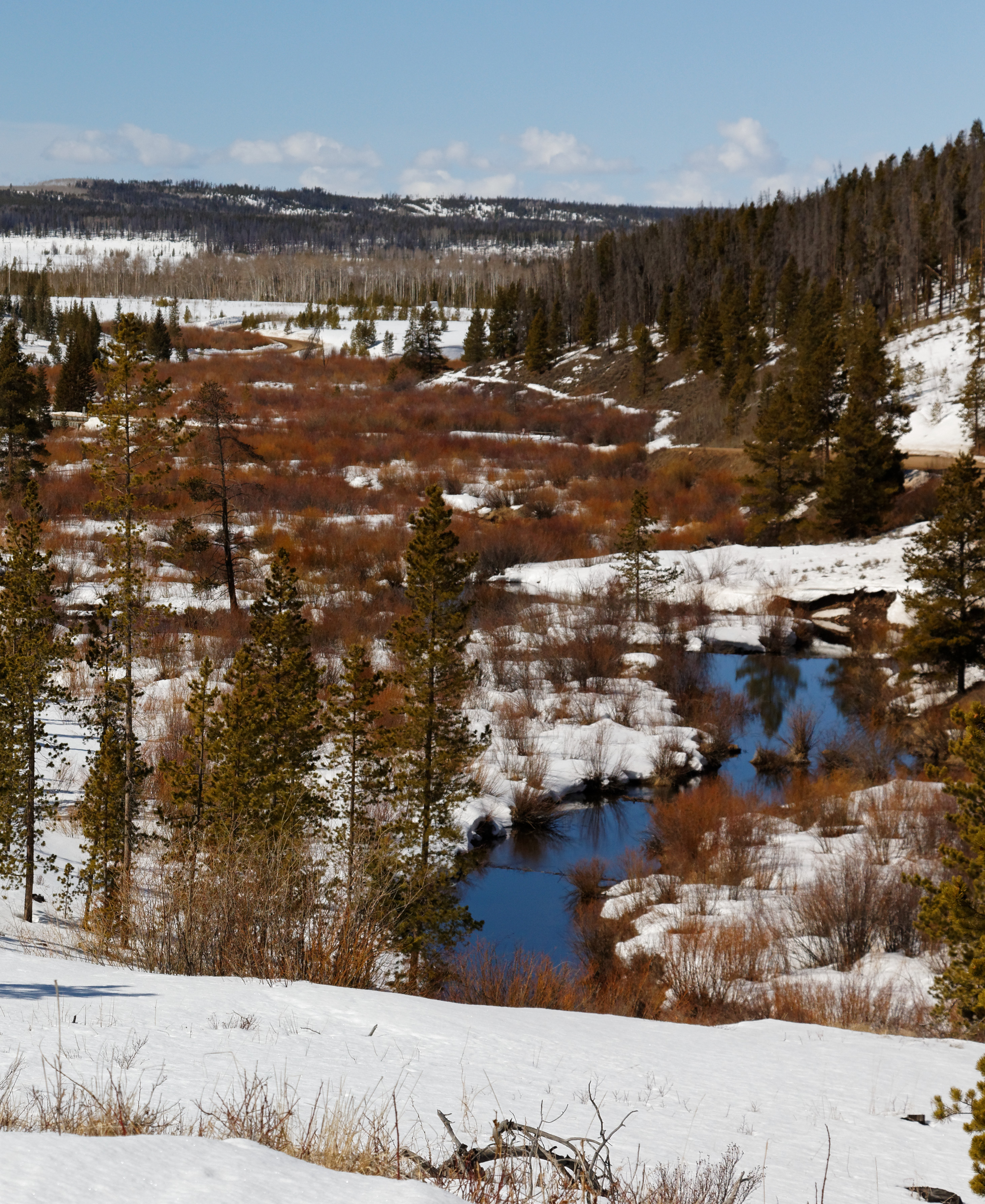 State Forest State Park