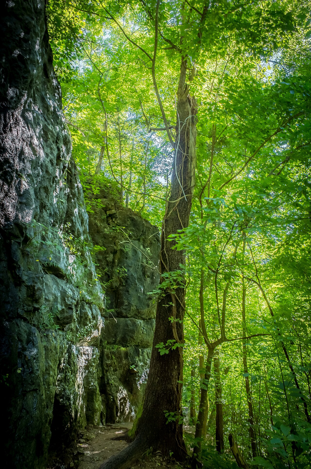 Special Use Campground