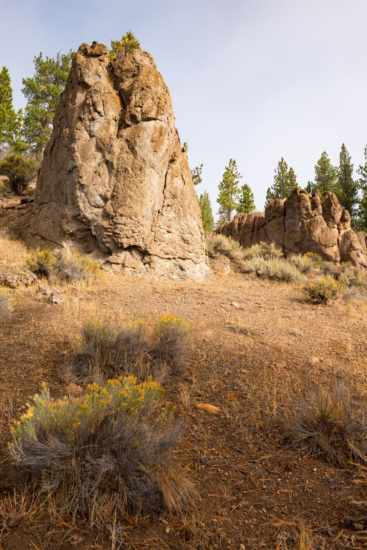 Dairy Point Campground